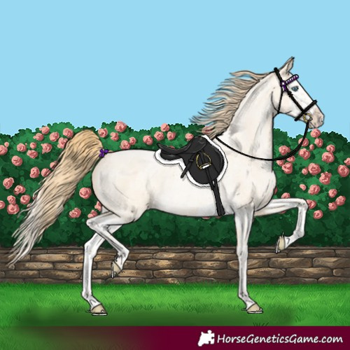 Horse Color:Buckskin Roan Pearl  and Buckskin Roan Pearl Splash 