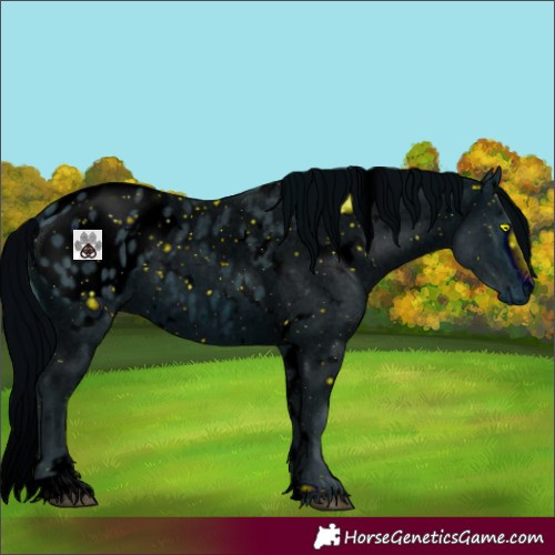 Horse Color:ERROR: UNKNOWN ANOMALY