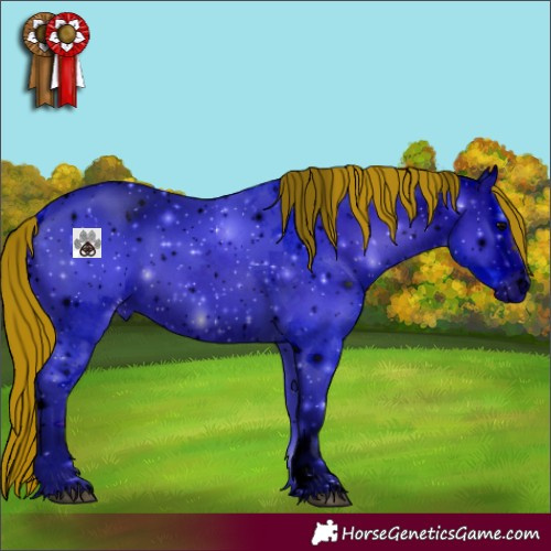 Horse Color:ERROR: UNKNOWN ANOMALY