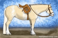Horse Color:White Spotted Gold Cream Champagne 