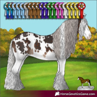 Horse Color:White Spotted Silver Brown Splash