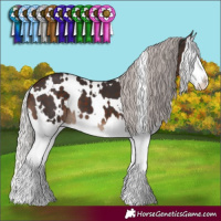 Horse Color:White Spotted Silver Brown Splash 