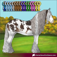 Horse Color:White Spotted Silver Brown Splash 