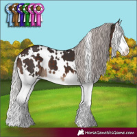 Horse Color:White Spotted Silver Brown Splash