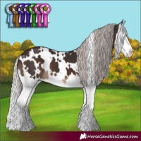 Horse Color:White Spotted Silver Brown Splash 