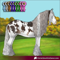 Horse Color:White Spotted Silver Brown Splash 