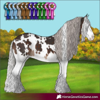 Horse Color:White Spotted Silver Brown Splash 