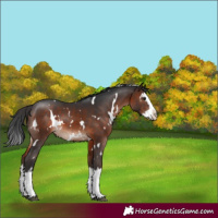 Horse Color:White Spotted Brown Mushroom Splash 