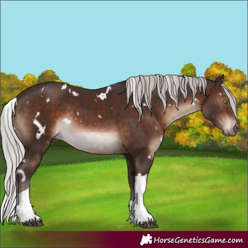 Horse Color:White Spotted Silver Brown Mushroom Tobiano Rabicano 