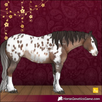 Horse Color:Liver Chestnut Sabino Splash Appaloosa Rabicano