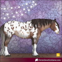 Horse Color:Liver Chestnut Sabino Splash Blanket Rabicano 