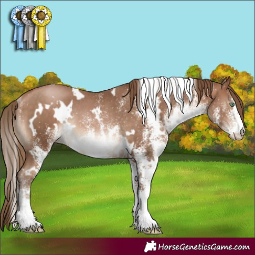 Horse Color:White Spotted Brown Pearl Rabicano 