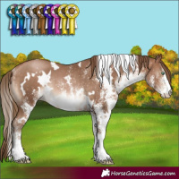Horse Color:White Spotted Brown Pearl Rabicano 