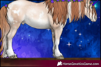 Horse Color:White Spotted Sable Champagne Pearl Sabino Rabicano