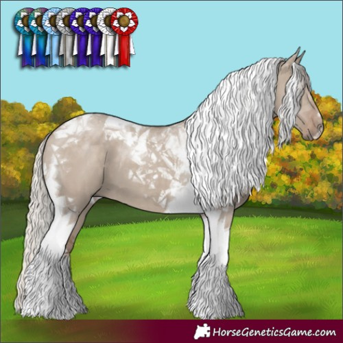Horse Color:Silver Grullo Tobiano 