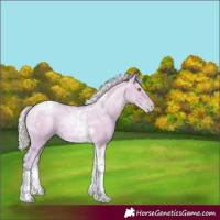 Horse Color:Watercolor Silver Grullo Pearl Tobiano 