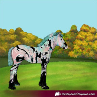 Horse Color:ERROR: UNKNOWN ANOMALY