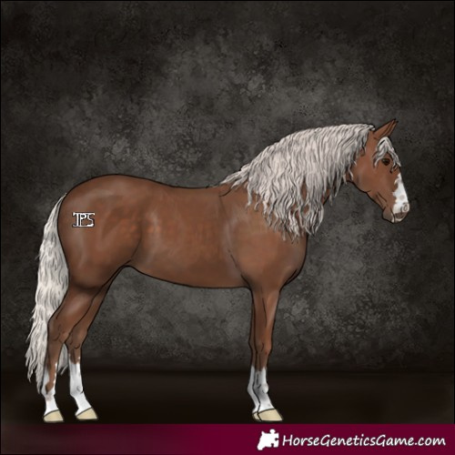 Horse Color:Silver Black 