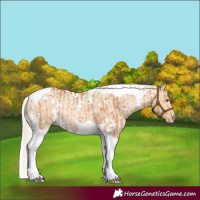 Horse Color:Silver Bay Dun Tobiano Rabicano  and White Spotted Silver Amber Champagne Dun Tobiano Varnish Rabicano 