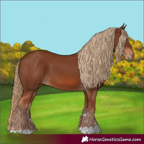 Horse Color:Unknown 