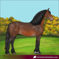 Horse Color:Brown 