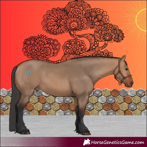 Horse Color:Bay Dun