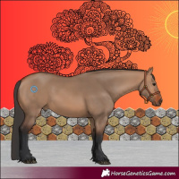 Horse Color:Bay Dun