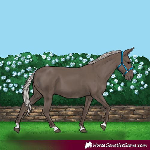 Horse Color:Silver Black 