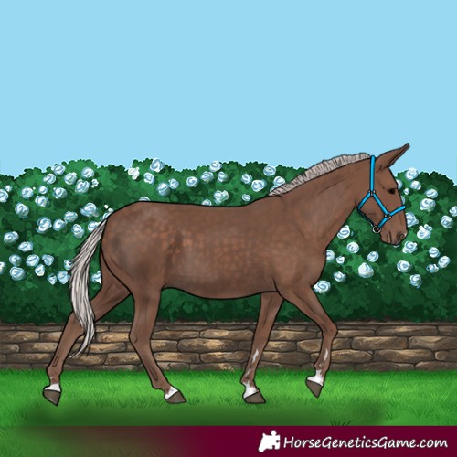 Horse Color:Silver Black 