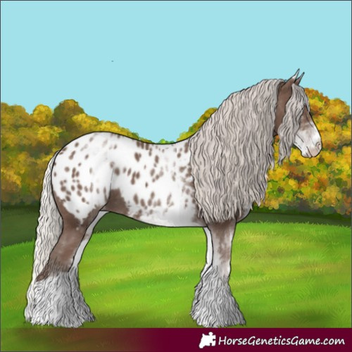 Horse Color:White Spotted Silver Black Tobiano Appaloosa Rabicano 