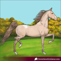 Horse Color:Amber Champagne Snowcap 
