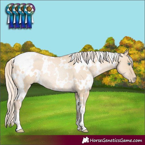 Horse Color:White Spotted Palomino Pearl Dun Rabicano 