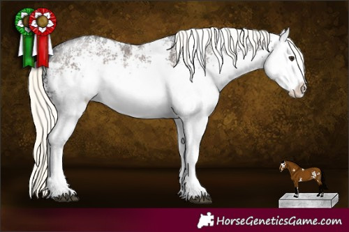 Horse Color:White Spotted Liver Chestnut Mushroom Rabicano 