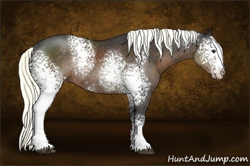 Horse Color:White Spotted Liver Chestnut Rabicano 