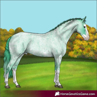 Horse Color:Watercolor Blue Ice Roan Splash 