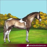 Horse Color:Liver Red Onyx Tobiano