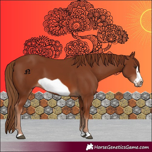 Horse Color:Chestnut Frame 