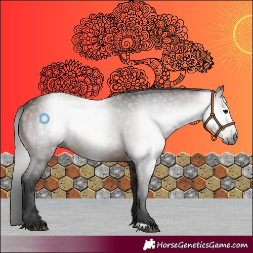 Horse Color:Gray Bay 