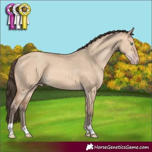 Horse Color:Amber Champagne Dun 