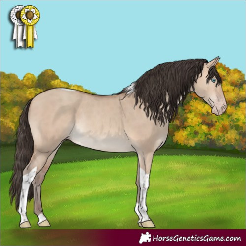 Horse Color:Amber Champagne Dun Tobiano Rabicano 