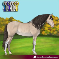 Horse Color:Amber Champagne Dun Tobiano Rabicano 