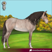 Horse Color:Sable Champagne Roan Rabicano 