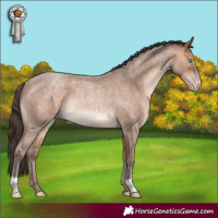 Horse Color:Sable Champagne Roan Rabicano 