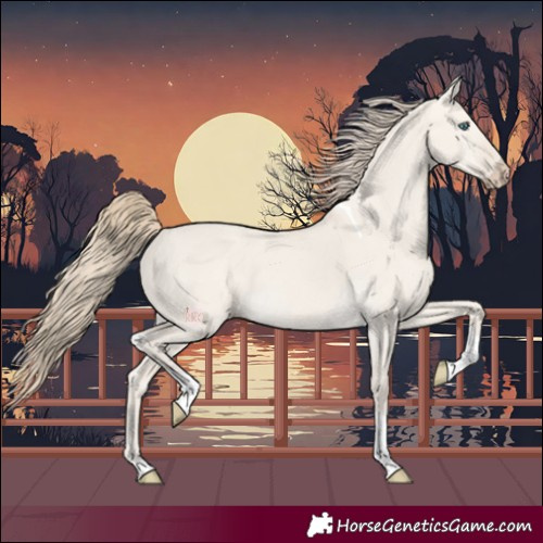 Horse Color:Smoky Creme Dun Tobiano 