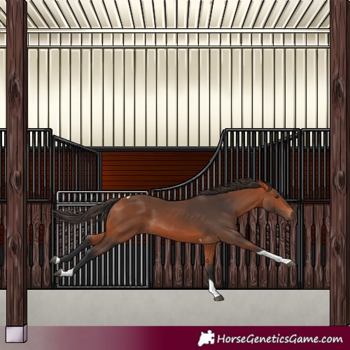 Horse Color:Bay Tobiano Rabicano 