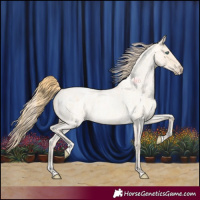 Horse Color:Buckskin Roan Pearl  and Perlino Roan 