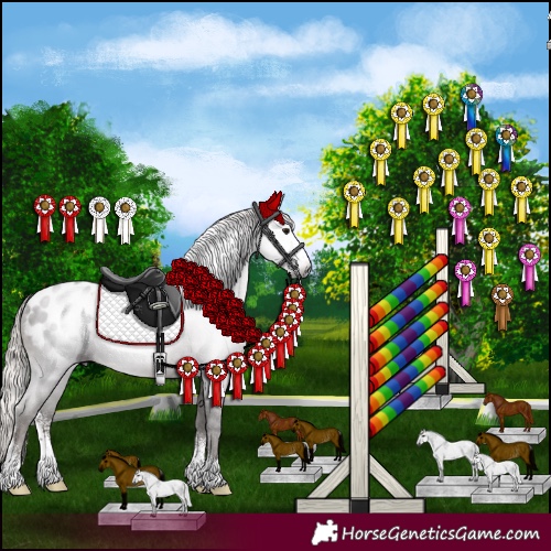Horse Color:Gray Silver Black Sabino Appaloosa Rabicano 