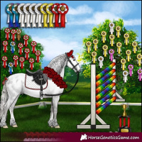 Horse Color:Gray Silver Black Sabino Blanket Rabicano 