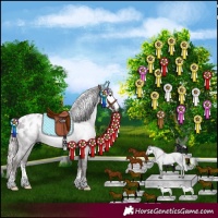 Horse Color:Gray Silver Black Sabino Appaloosa Rabicano 
