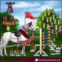 Horse Color:Gray Silver Black Sabino Appaloosa Rabicano 